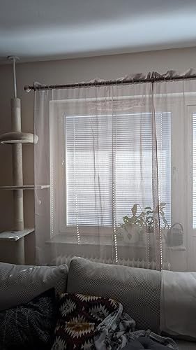 Foto del cliente