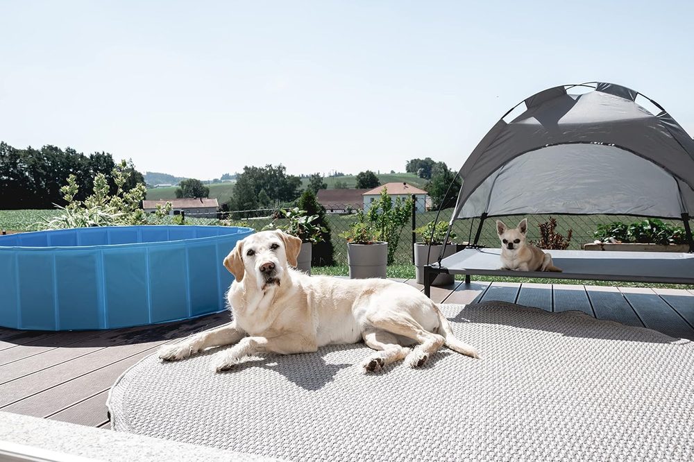 Kerbl faltbarer Hundepool 100 l, 80 cm — 2