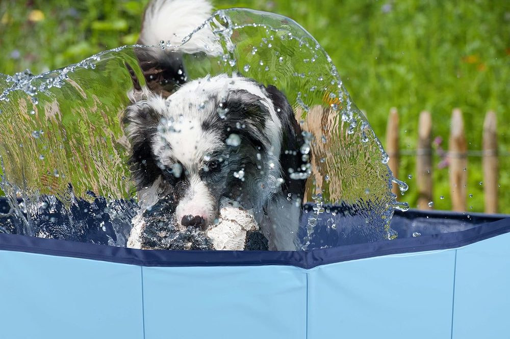 maxxpro XXL-Pool für große Hunde, 160 cm — 6