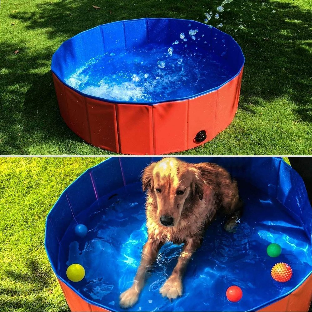 Shallow mini pool for puppies and cats, 50 cm — 7