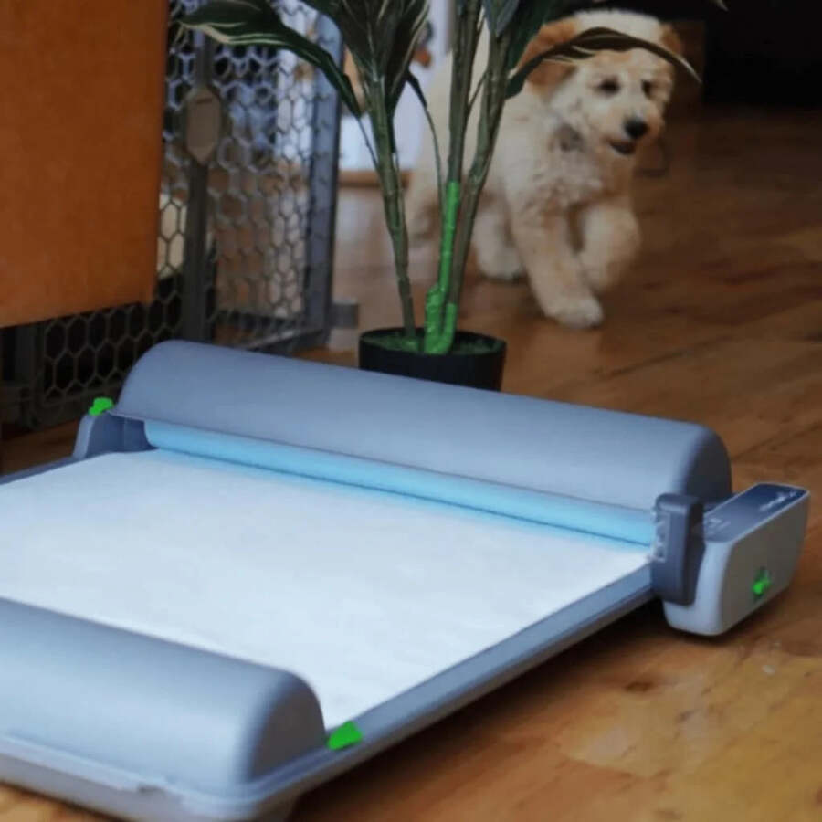 BrilliantPad Smart v domácí chodbě, malý pes běží ke stanici