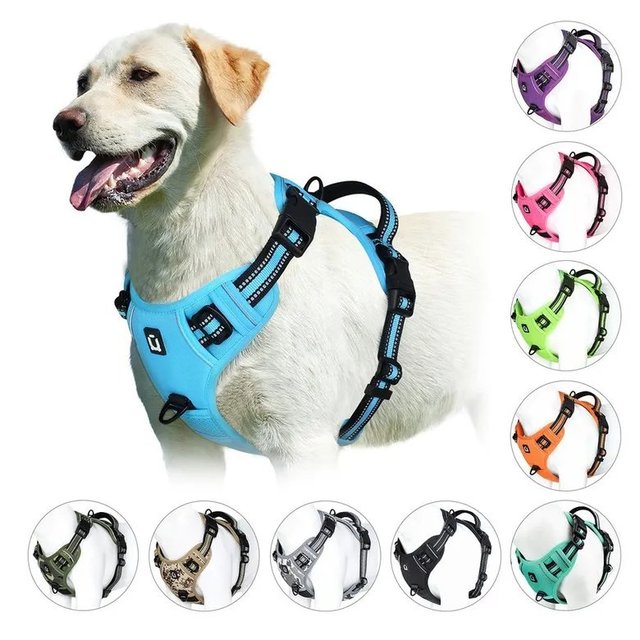 Anti-shock harness with handle
